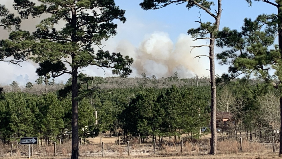 Equipos de emergencia combaten gran incendio forestal cerca del Parque Estatal de Bastrop