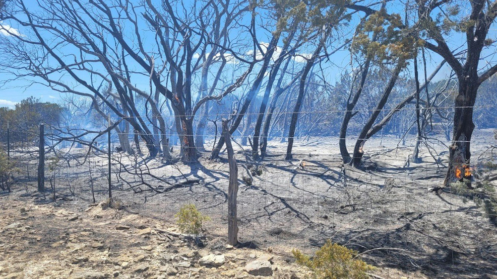 Incendio de malezas consume 250 acres entre condados Hays y Blanco