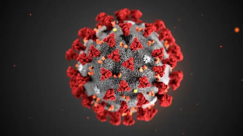 Todo lo que se sabe por ahora sobre ‘Langya’, el nuevo virus surgido en China